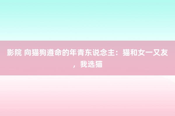 影院 向猫狗遵命的年青东说念主：猫和女一又友，我选猫