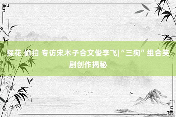 探花 偷拍 专访宋木子合文俊李飞|“三狗”组合笑剧创作揭秘