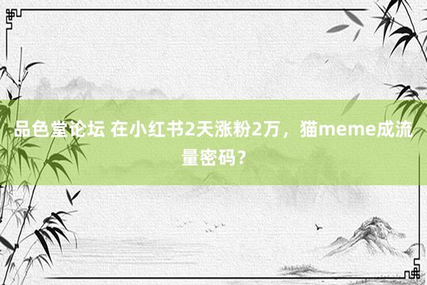 品色堂论坛 在小红书2天涨粉2万，猫meme成流量密码？