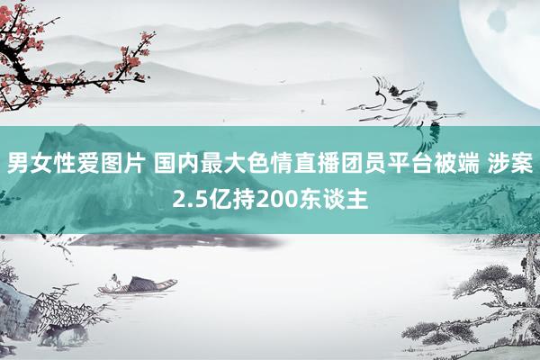 男女性爱图片 国内最大色情直播团员平台被端 涉案2.5亿持200东谈主