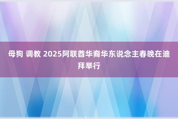 母狗 调教 2025阿联酋华裔华东说念主春晚在迪拜举行