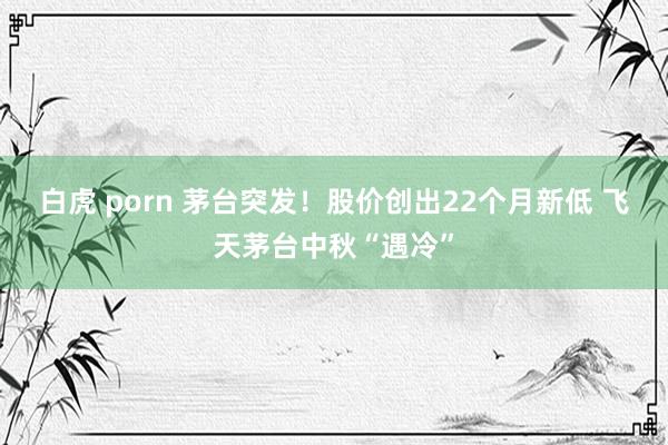 白虎 porn 茅台突发！股价创出22个月新低 飞天茅台中秋“遇冷”