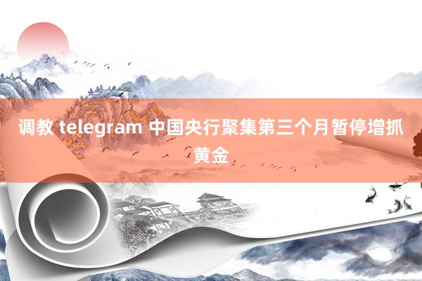 调教 telegram 中国央行聚集第三个月暂停增抓黄金