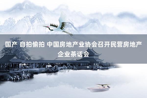 国产 自拍偷拍 中国房地产业协会召开民营房地产企业茶话会