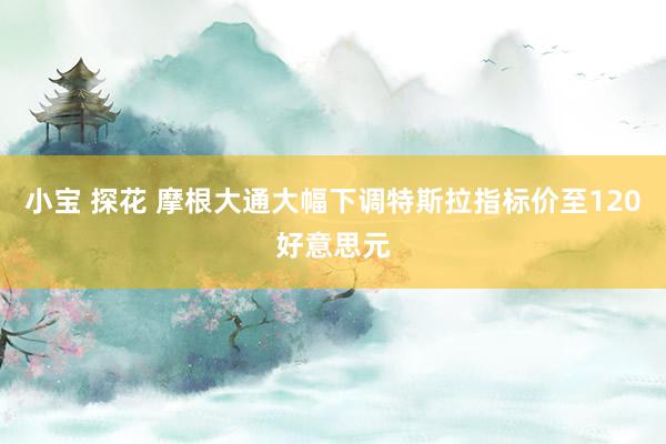 小宝 探花 摩根大通大幅下调特斯拉指标价至120好意思元
