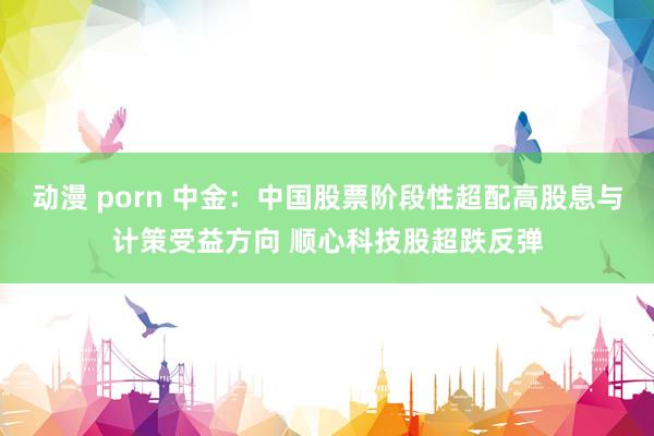 动漫 porn 中金：中国股票阶段性超配高股息与计策受益方向 顺心科技股超跌反弹