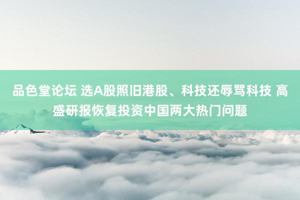 品色堂论坛 选A股照旧港股、科技还辱骂科技 高盛研报恢复投资中国两大热门问题